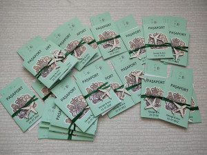 Invitatie tip Pasaport Avion Gravat
