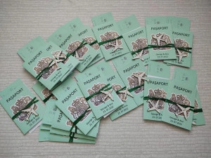 Invitatie tip Pasaport Avion Gravat