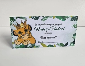 Plic bani Simba #2