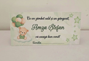 Plic bani Olive Bear