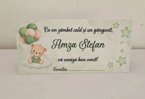 Plic bani Olive Bear