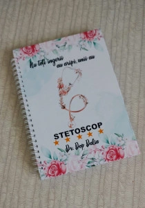Agenda medic pediatru
