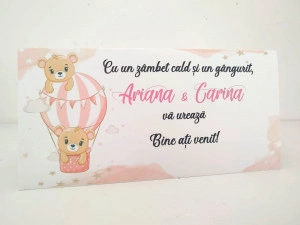 Plic bani ursuleț gemeni