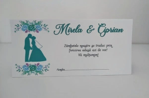 Plicuri pentru bani #8