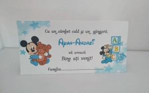 Plic bani mikey mouse