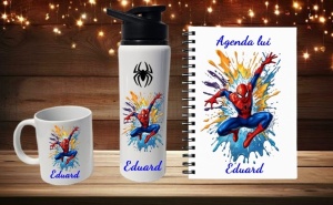 Set cadou agenda, cana si bidon pentru apa-Tematica Spider Man