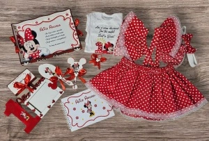 Set moț Minnie Mouse