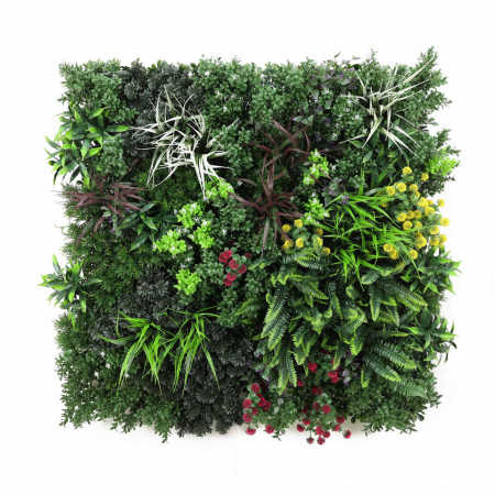 GreenWall Australis-perete verde artificial 1x1m