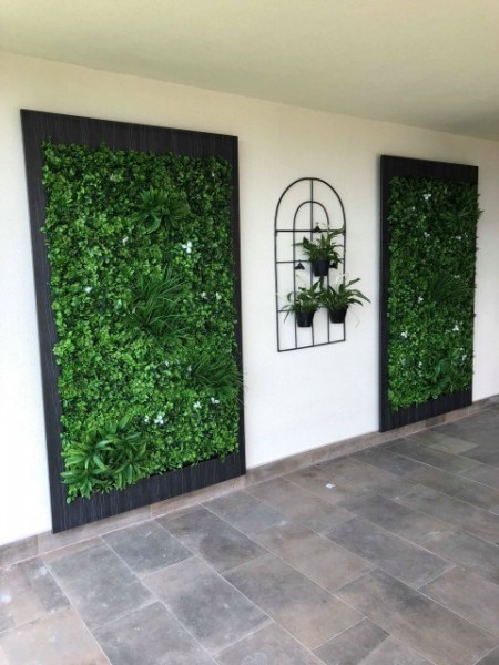 GREENWALL JASMINE - Img 3