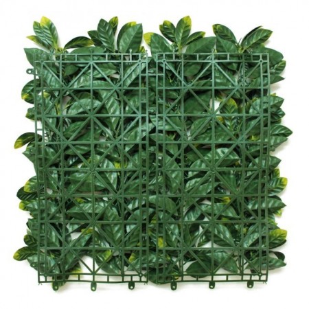 LAURUS - Img 2
