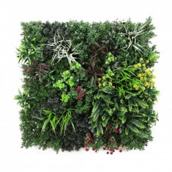 GreenWall Australis-perete verde artificial 1x1m