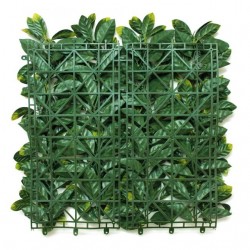 LAURUS