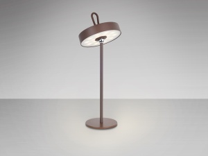 VEIOZA GONG, 35 CM, MARO/OPAL, DIN METAL SI ABS, STIL MODERN - Img 2