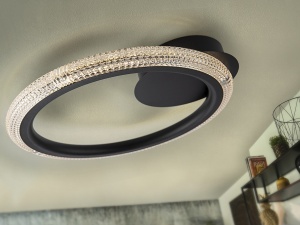PLAFONIERA RING, 42 CM, NEGRU MAT/TRANSPARENT, DIN METAL, ALUMINIU SI ACRIL, STIL MODERN - Img 4