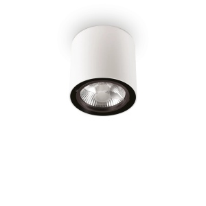 SPOT MOOD PL1 D15 ROUND, ALB, DIN METAL, STIL MODERN