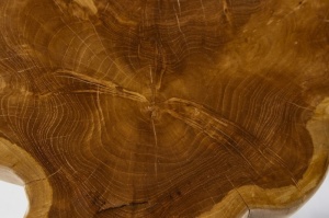 MASUTA DE CAFEA 40CM, ROOT, DIN LEMN MASIV DE TEC, DESIGN RUSTIC - Img 4