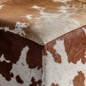 MASUTA DE CAFEA KENOSHA REF. 29483, DIN PIELE SI MDF, STIL RUSTIC, VIC - Img 3