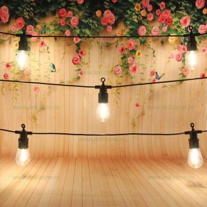 Ghirlanda 10M cu 20 Becuri LED Filament Clare Para