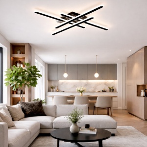 Lustra LED 120W Neagra 3 Functii cu Telecomanda LZ11W
