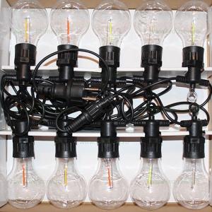 Ghirlanda  5M cu 10 Becuri LED Glob Clar