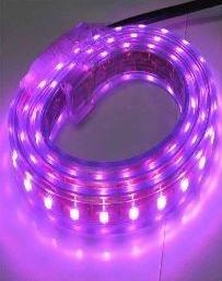 Banda LED 5050 60 SMD/ML RGB 220V - Img 4