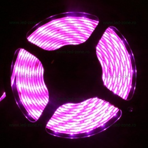 Banda LED 5050 60 SMD/ML Silicon Magenta 12V - Img 4