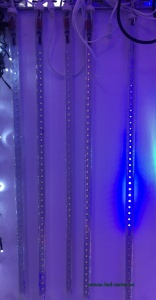 Cablu Alimentare Instalatie LED 1 Turture 80cm SMD5050 - Img 2