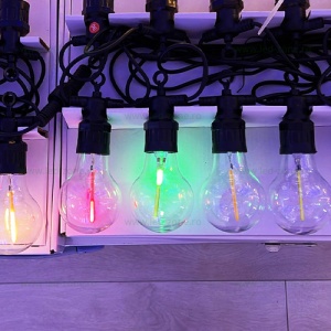 Ghirlanda 5M cu 10 Becuri LED Glob Clar - Img 1