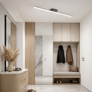 Lustra LED 40W Neagra 3 Functii LZ4132-100