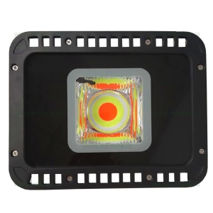 Proiector LED 50W 220V RGB Telecomanda 1 Modul - Img 2