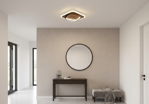 Aplica LED 48W 3 Functii LZ135-200
