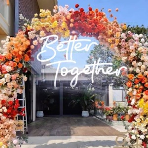Kit Banda LED Better Together 9722 - Img 2