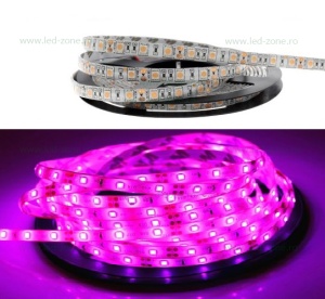 Banda LED 5050 60 SMD/ML Silicon Magenta 12V - Img 1