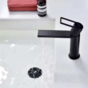 Baterie Lavoar Negru LZ5001N - Img 4