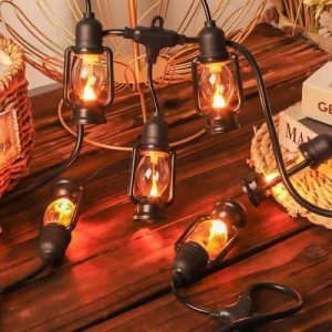 Ghirlanda 5M 10 Becuri LED Felinar