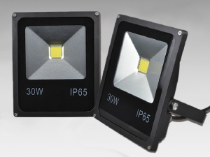 Proiector LED 30W 220V Slim