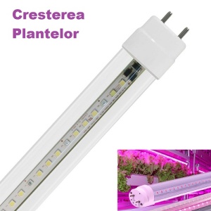 Tub LED T8 Clar 16W 120cm Sticla Cresterea Plantelor