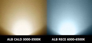 Aplica LED 12W Exterior LZ0899X Premium