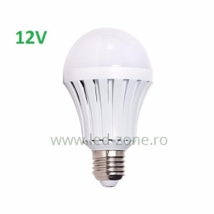 Bec LED E27 12W Glob Mat Plastic 12V