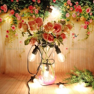 Ghirlanda 10M cu 20 Becuri LED Filament Clare Para