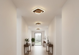 Aplica LED 48W 3 Functii LZ135-200 - Img 2