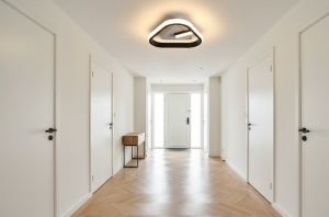 Aplica LED Moderna 38W 3 Functii LZ3918