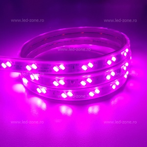 Banda LED 5730 80 SMD/ML 220V Magenta - Img 1