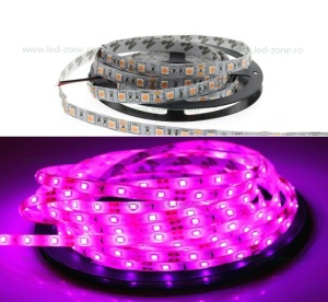 Banda LED 5050 60 SMD/ML Interior Magenta 12V