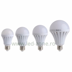 Bec LED E27 12W Glob Mat Plastic 12V