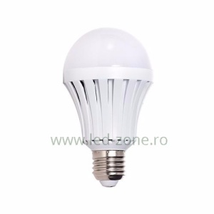 Bec LED E27 12W Glob Mat Plastic