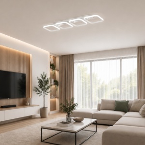 Lustra LED 24W Alba 3 Functii LZ313