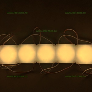 Set 20 Module LED COB cu Lupa Glob Mat 12V - Img 4