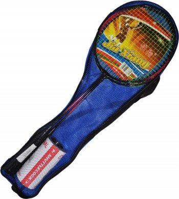 Palete badminton cu husa si fluturasi