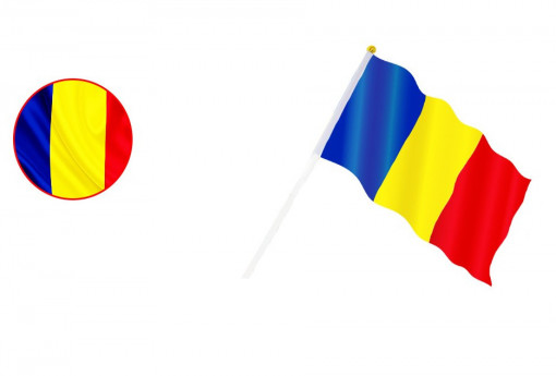 Steag Romania 14x21cm
